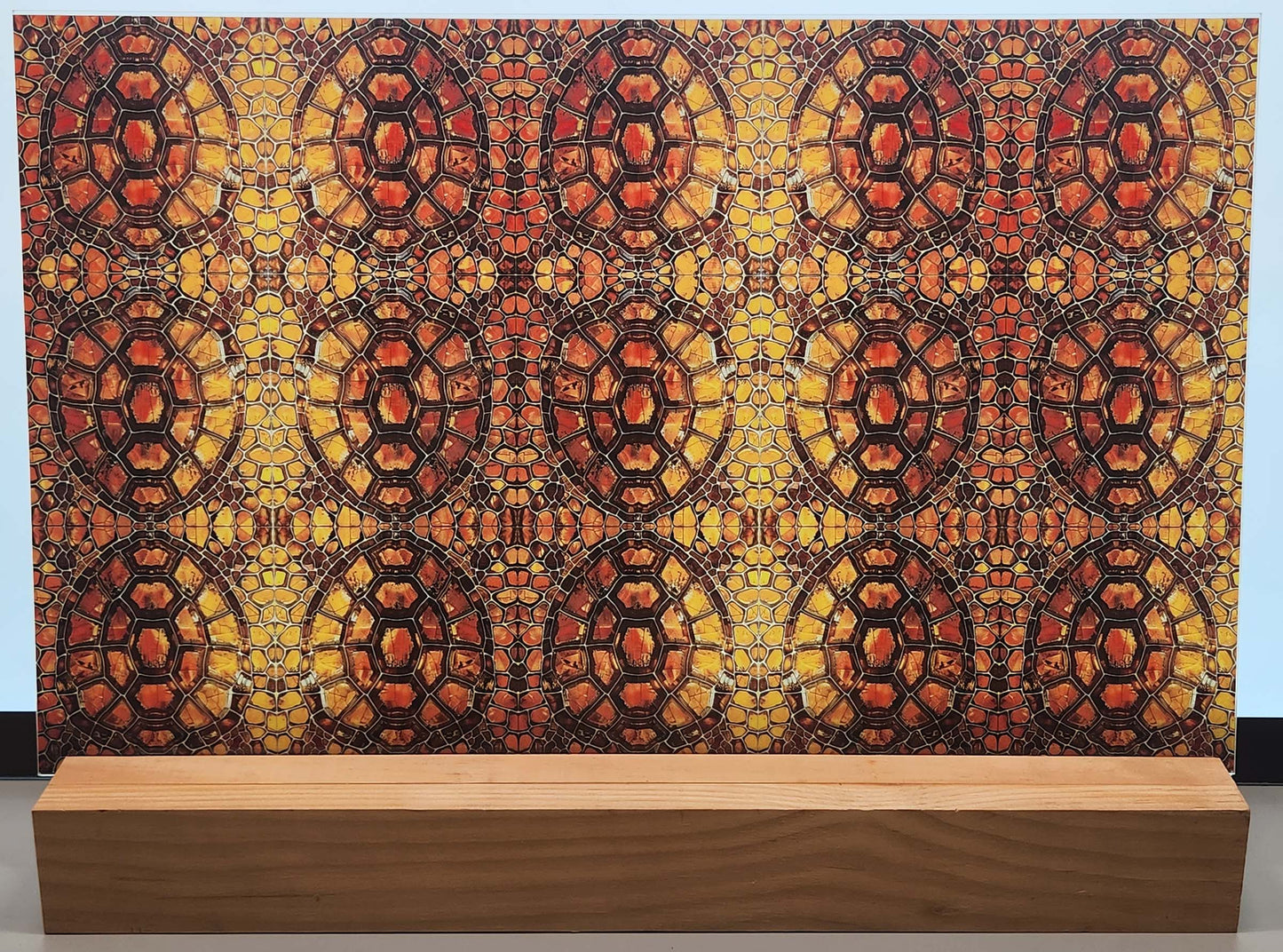 DecoCraft - Animals, Bugs, & Birds - Tortoise Shell Mosaic