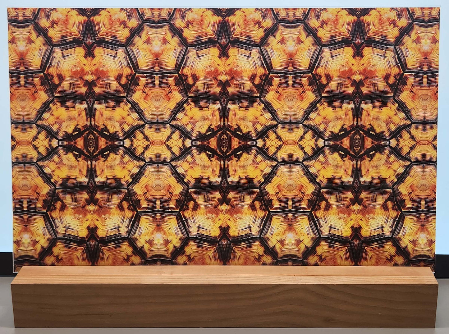 DecoCraft - Animals, Bugs, & Birds - Amber Tortoise Shell