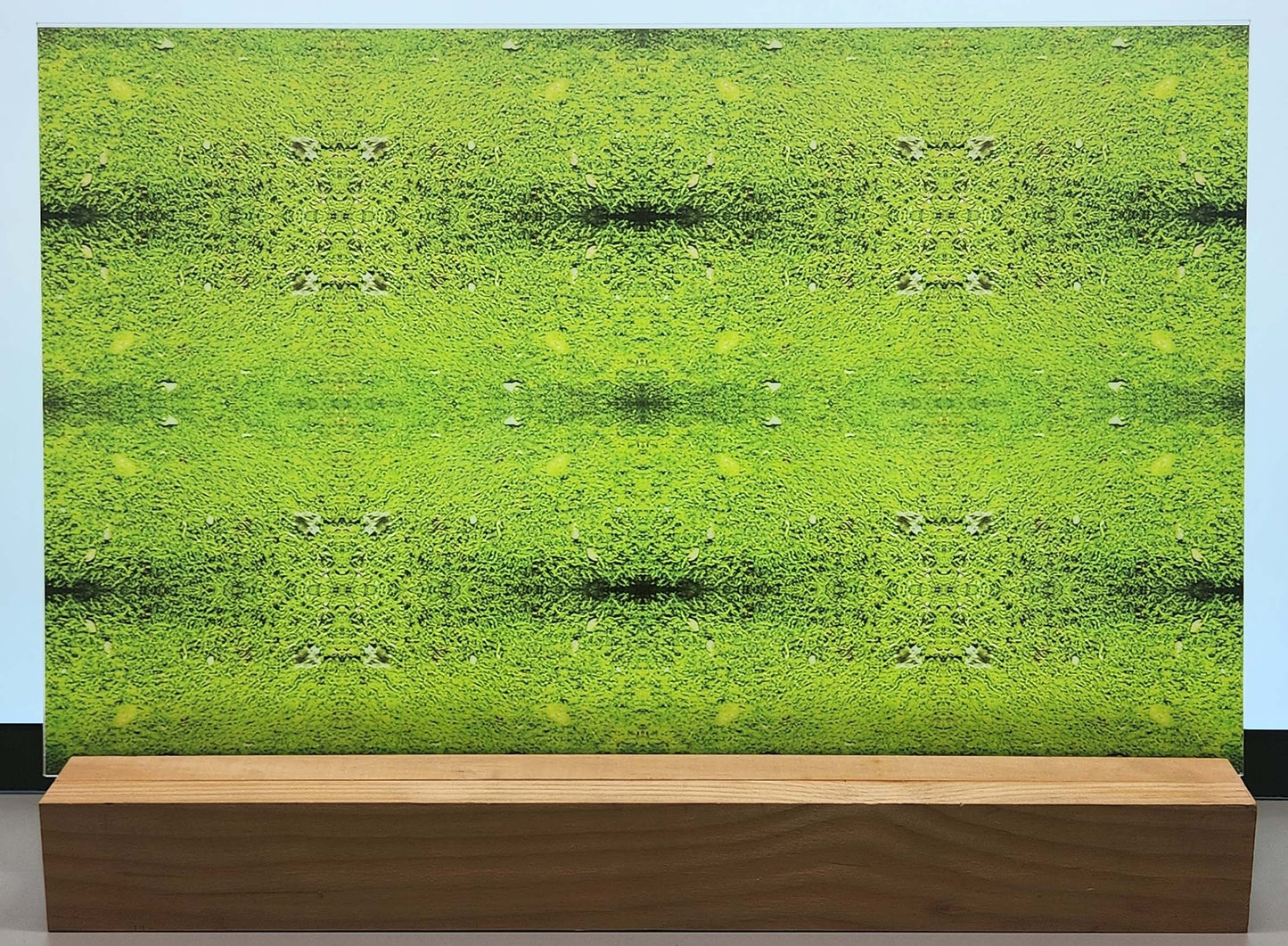 DecoCraft - Photo-astic Textures (Flat) - Mossy Stone Kaleidoscope
