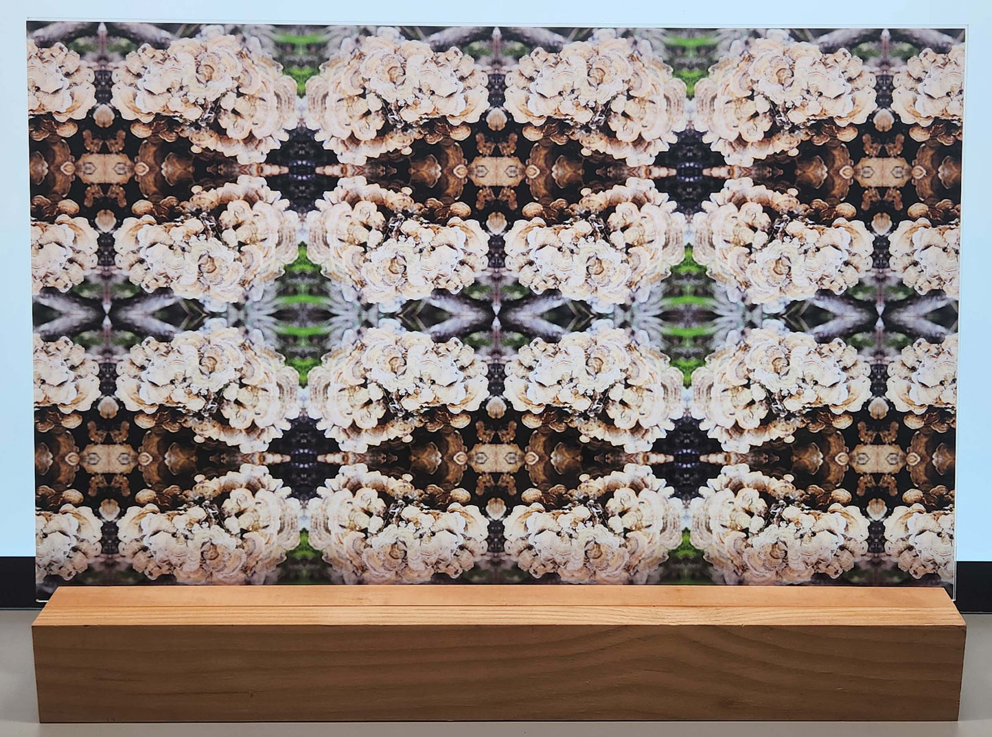 DecoCraft - Photo-astic Textures (Flat) - Wild Mushroom Kaleidoscope II