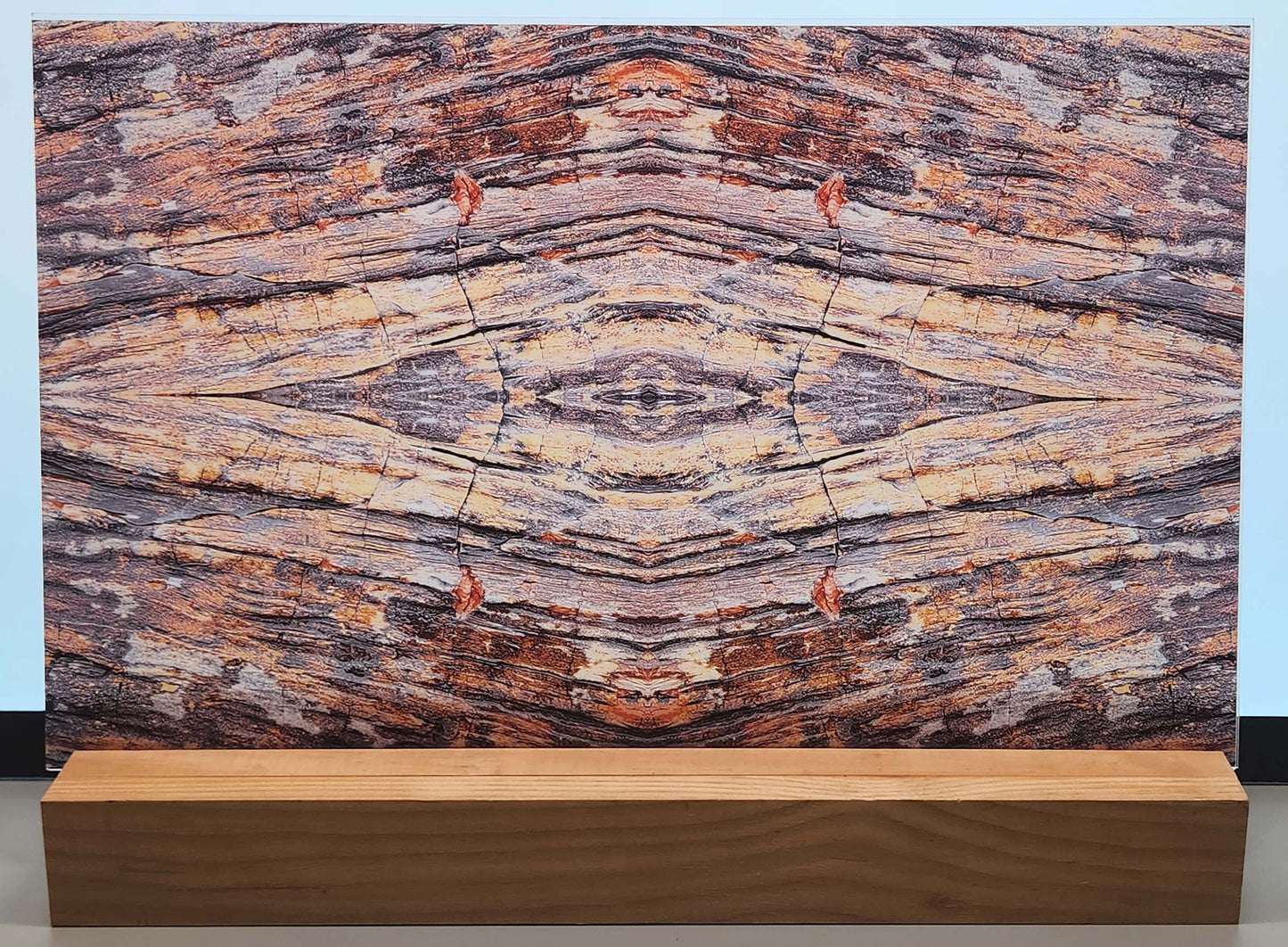 DecoCraft - Photo-astic Textures (Flat) - Petrified Wood Kaleidoscope