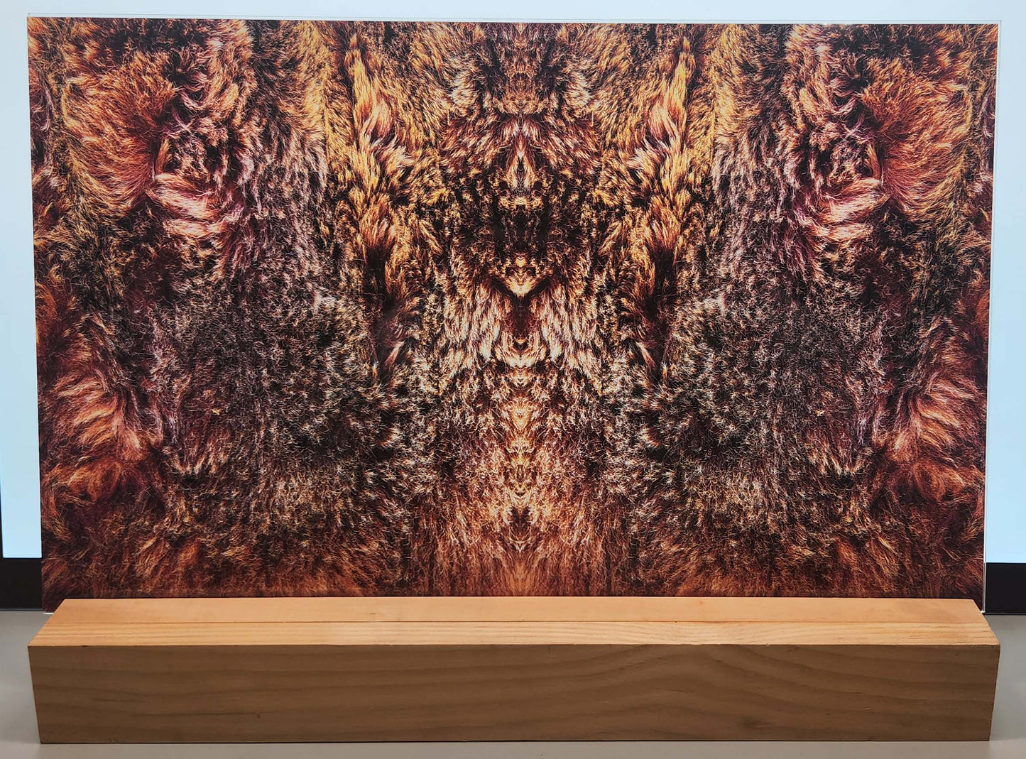 DecoCraft - Cherokee Rose - Style Sheet - Wiry Fur - Brown & Gray