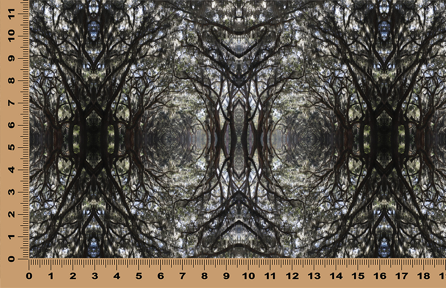 DecoCraft - Photo-astic Textures (Flat) - Wormsloe Trees Kaleidoscope