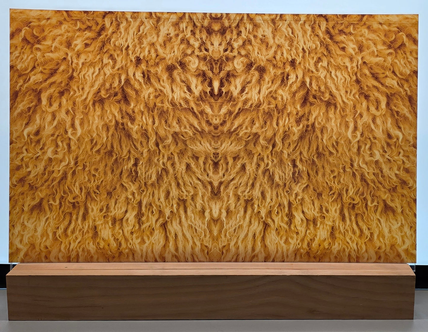 DecoCraft - Cherokee Rose - Style Sheet - Curly Fur - Golden