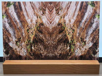 DecoCraft - Photo-astic Textures (Flat) - Zion Mirrored II