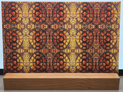 DecoCraft - Animals, Bugs, & Birds - Tortoise Shell Mosaic