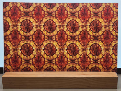 DecoCraft - Animals, Bugs, & Birds - Amber Tortoise Carapace