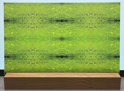DecoCraft - Photo-astic Textures (Flat) - Mossy Stone Kaleidoscope