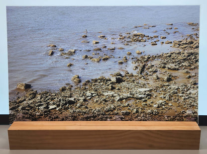 DecoCraft - Photo-astic Textures (Flat) - Rocky Lake Shore