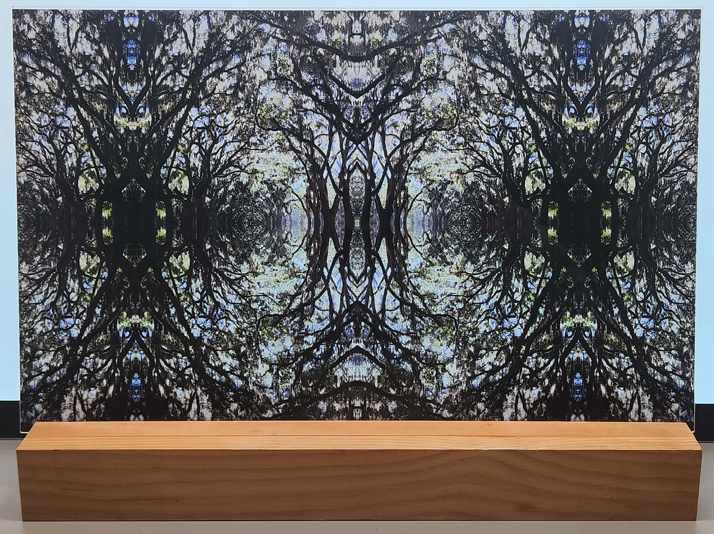 DecoCraft - Photo-astic Textures (Flat) - Wormsloe Trees Kaleidoscope