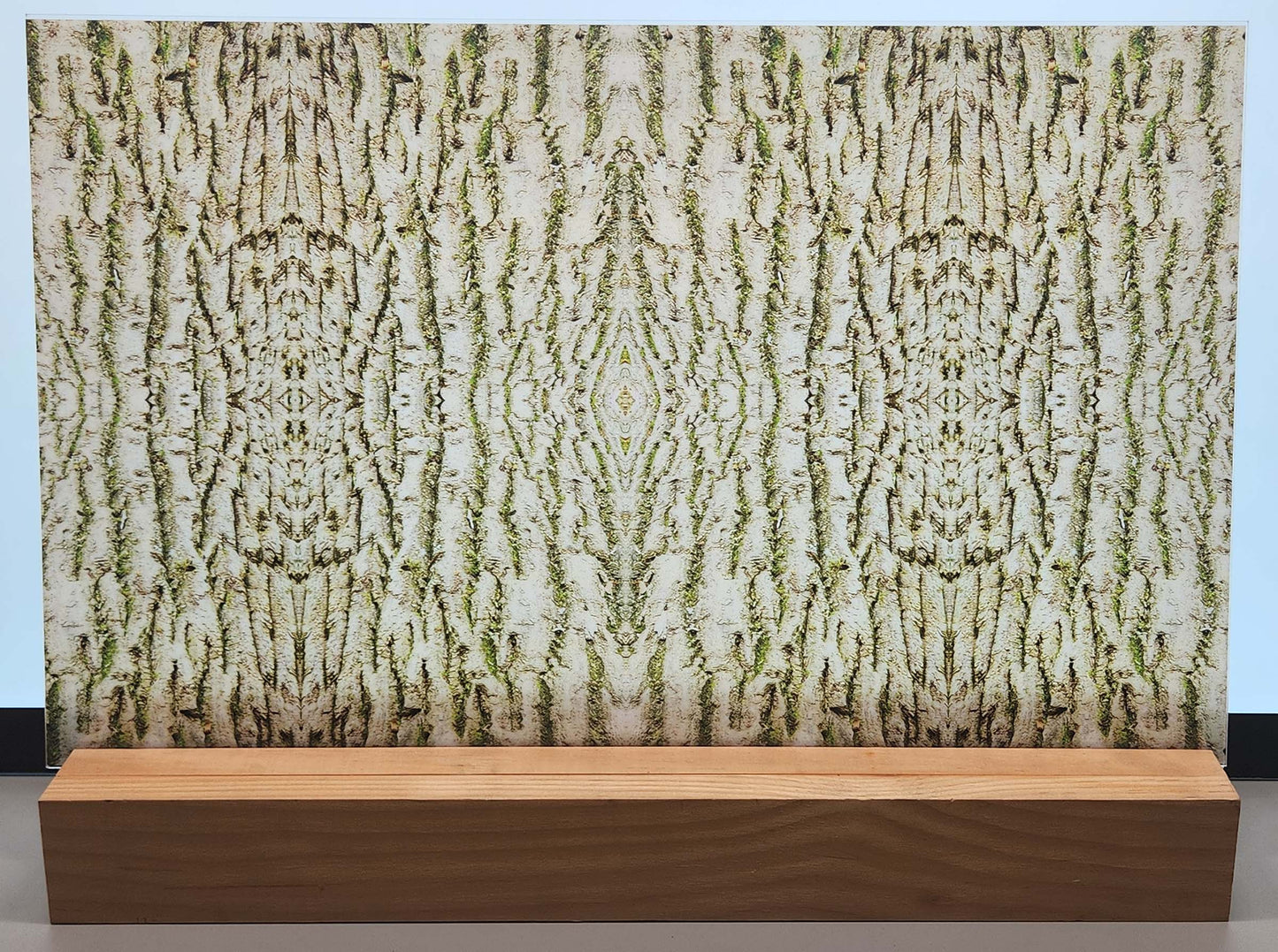 DecoCraft - Photo-astic Textures (Flat) - Tree Bark Kaleidoscope