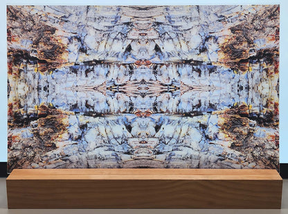 DecoCraft - Photo-astic Textures (Flat) - Petrified Wood Kaleidoscope III