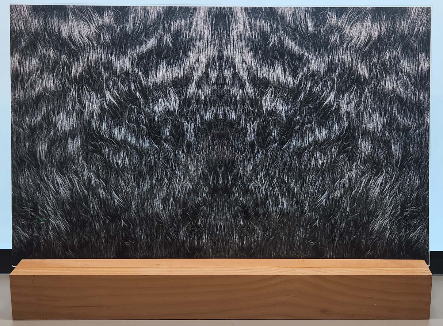 DecoCraft - Cherokee Rose - Style Sheet - Wiry Fur - Gray