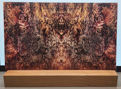 DecoCraft - Cherokee Rose - Style Sheet - Wiry Fur - Brown & Gray