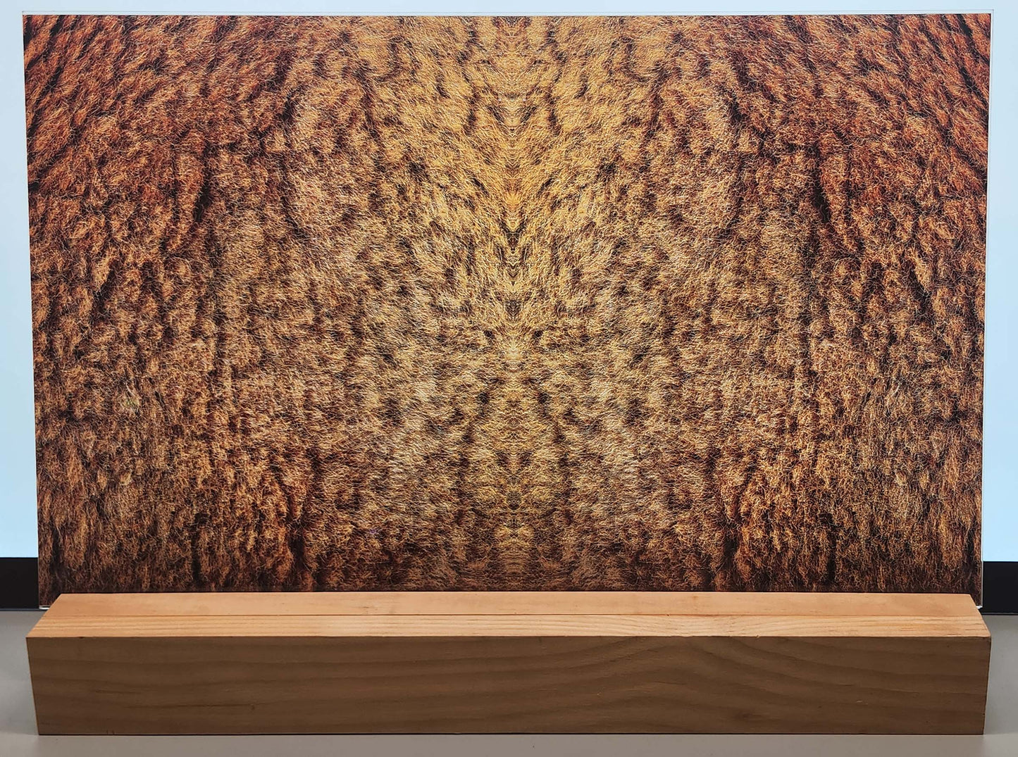 DecoCraft - Cherokee Rose - Style Sheet - Wiry Fur - Brown