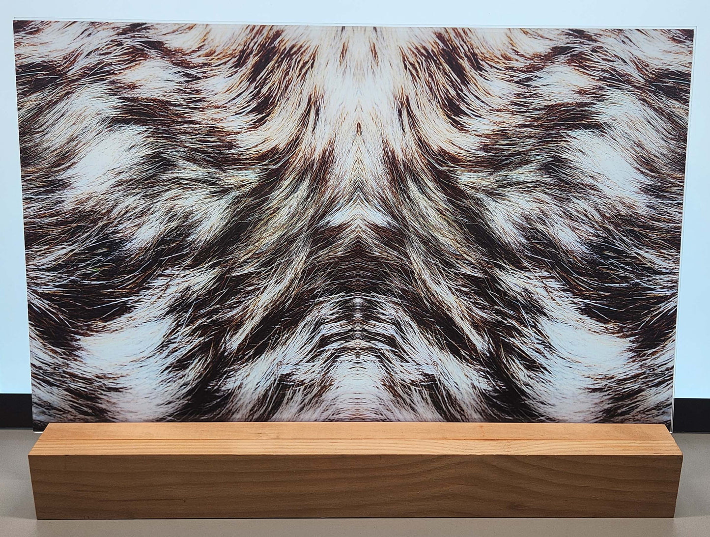 DecoCraft - Cherokee Rose - Style Sheet - Wiry Fur - Brown & White