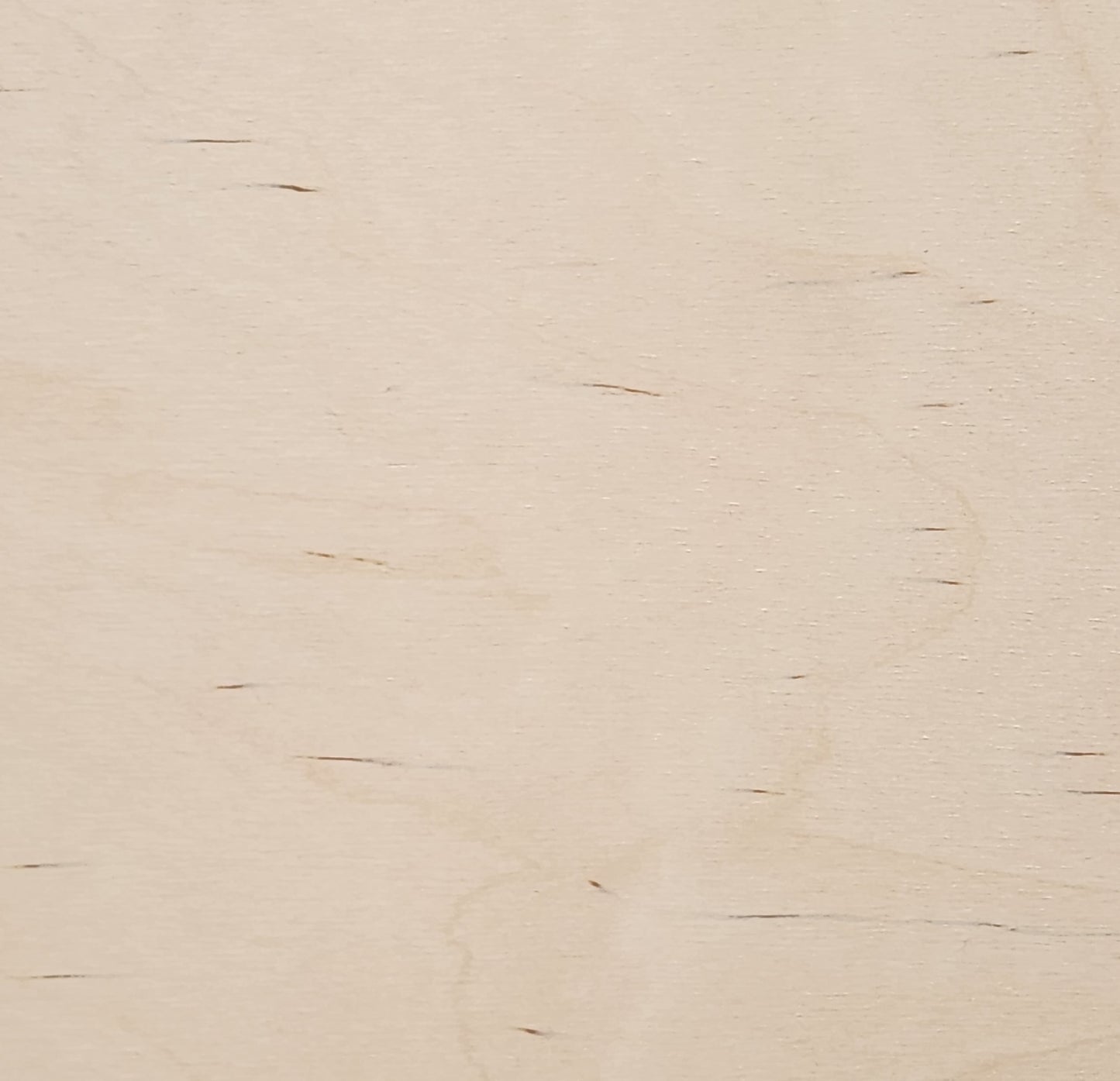 1/4" - B/BB - Premium Baltic Birch Plywood 13.75" x 19"