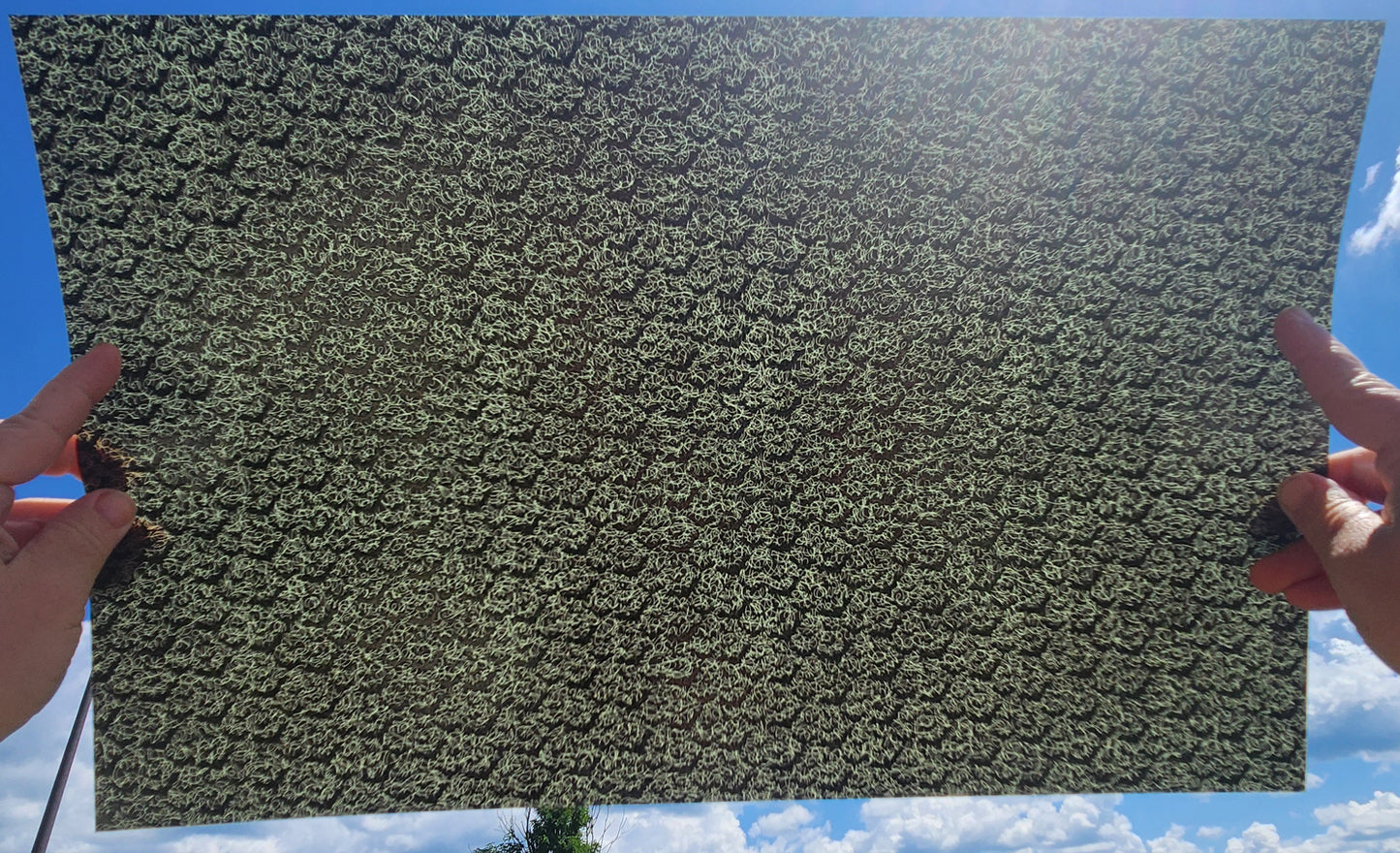 DecoCraft - Elevated Textures - Scattered Bats