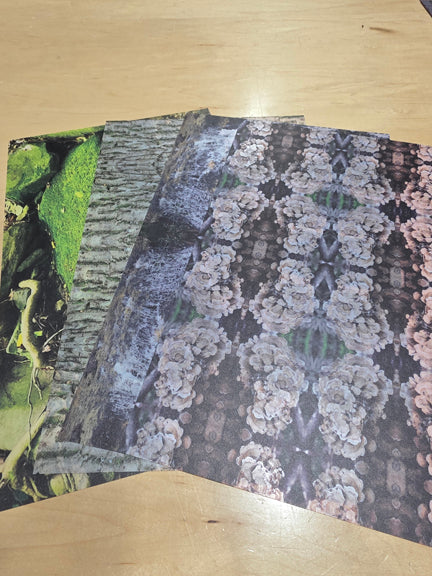DecoCraft - Office Clean Out - Phototastic Prints - Multiple Bundles Available