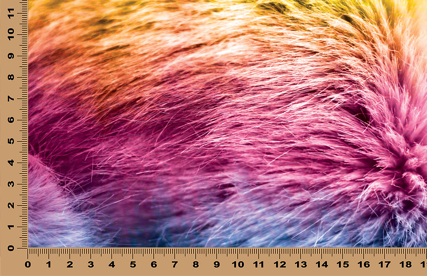 DecoCraft - Cherokee Rose - Style Sheet - Rainbow Fur