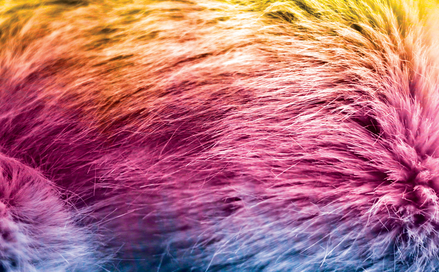 DecoCraft - Cherokee Rose - Style Sheet - Rainbow Fur