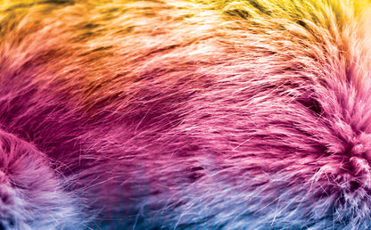 DecoCraft - Cherokee Rose - Style Sheet - Rainbow Fur