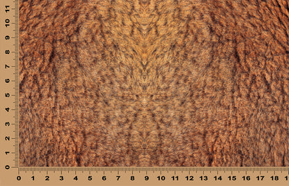 DecoCraft - Cherokee Rose - Style Sheet - Wiry Fur - Brown