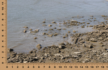 DecoCraft - Photo-astic Textures (Flat) - Rocky Lake Shore