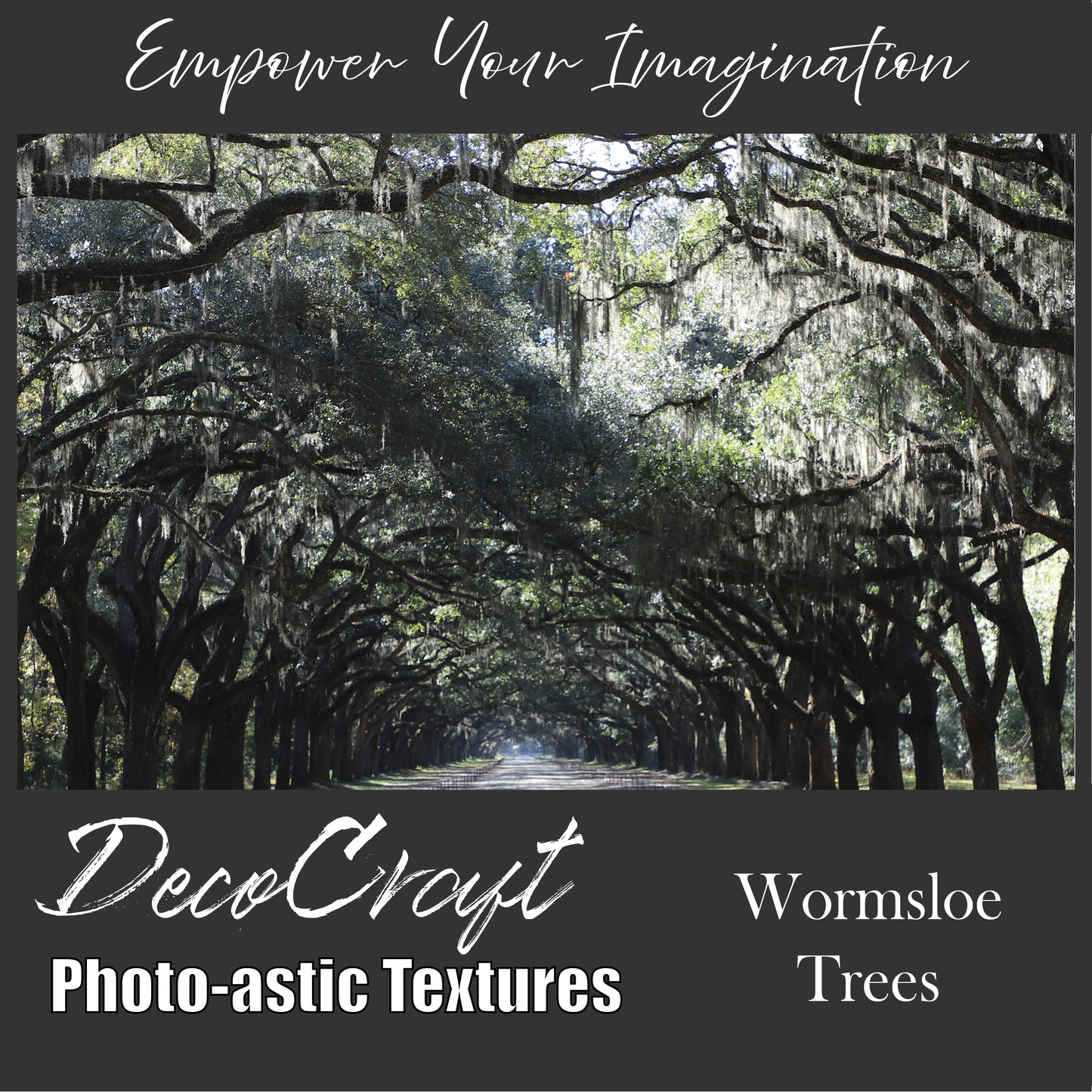 DecoCraft - Photo-astic Textures (Flat) - Wormsloe Trees
