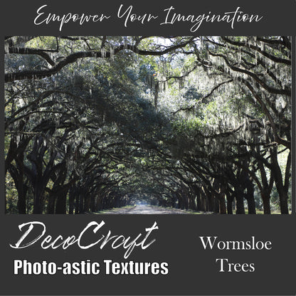 DecoCraft - Photo-astic Textures (Flat) - Wormsloe Trees