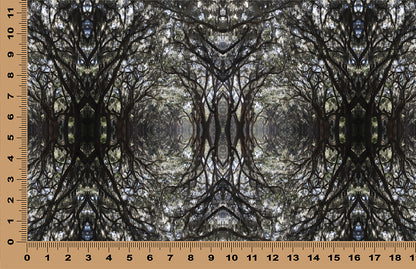 DecoCraft - Photo-astic Textures (Flat) - Wormsloe Trees Kaleidoscope