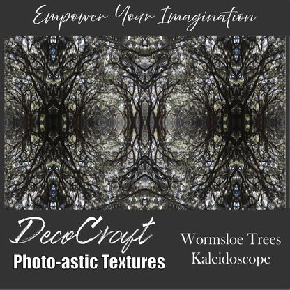 DecoCraft - Photo-astic Textures (Flat) - Wormsloe Trees Kaleidoscope