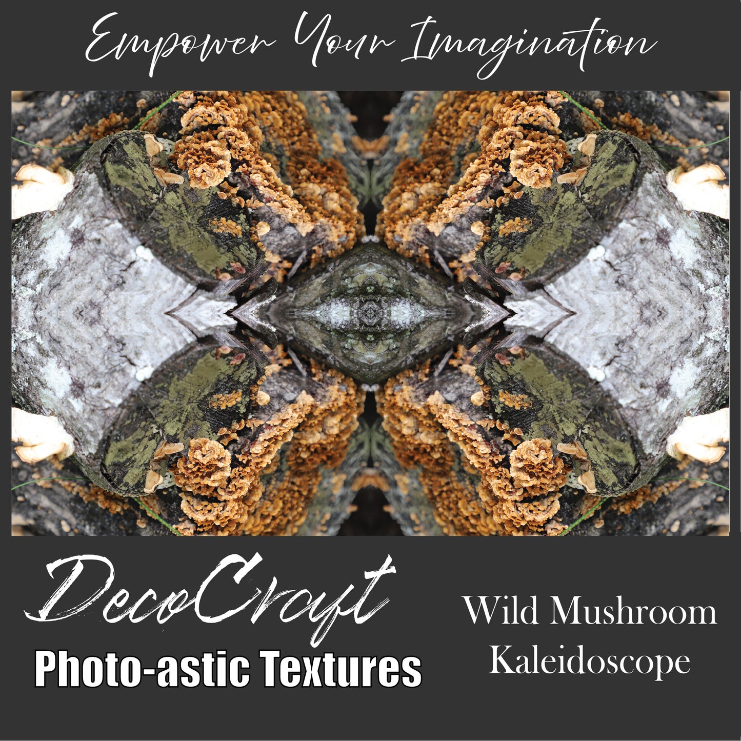 DecoCraft - Photo-astic Textures (Flat) - Wild Mushroom Kaleidoscope