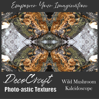 DecoCraft - Photo-astic Textures (Flat) - Wild Mushroom Kaleidoscope