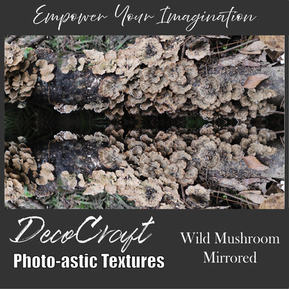 DecoCraft - Photo-astic Textures (Flat) - Wild Mushroom Mirrored