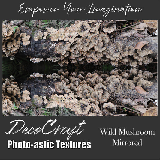 DecoCraft - Photo-astic Textures (Flat) - Wild Mushroom Mirrored