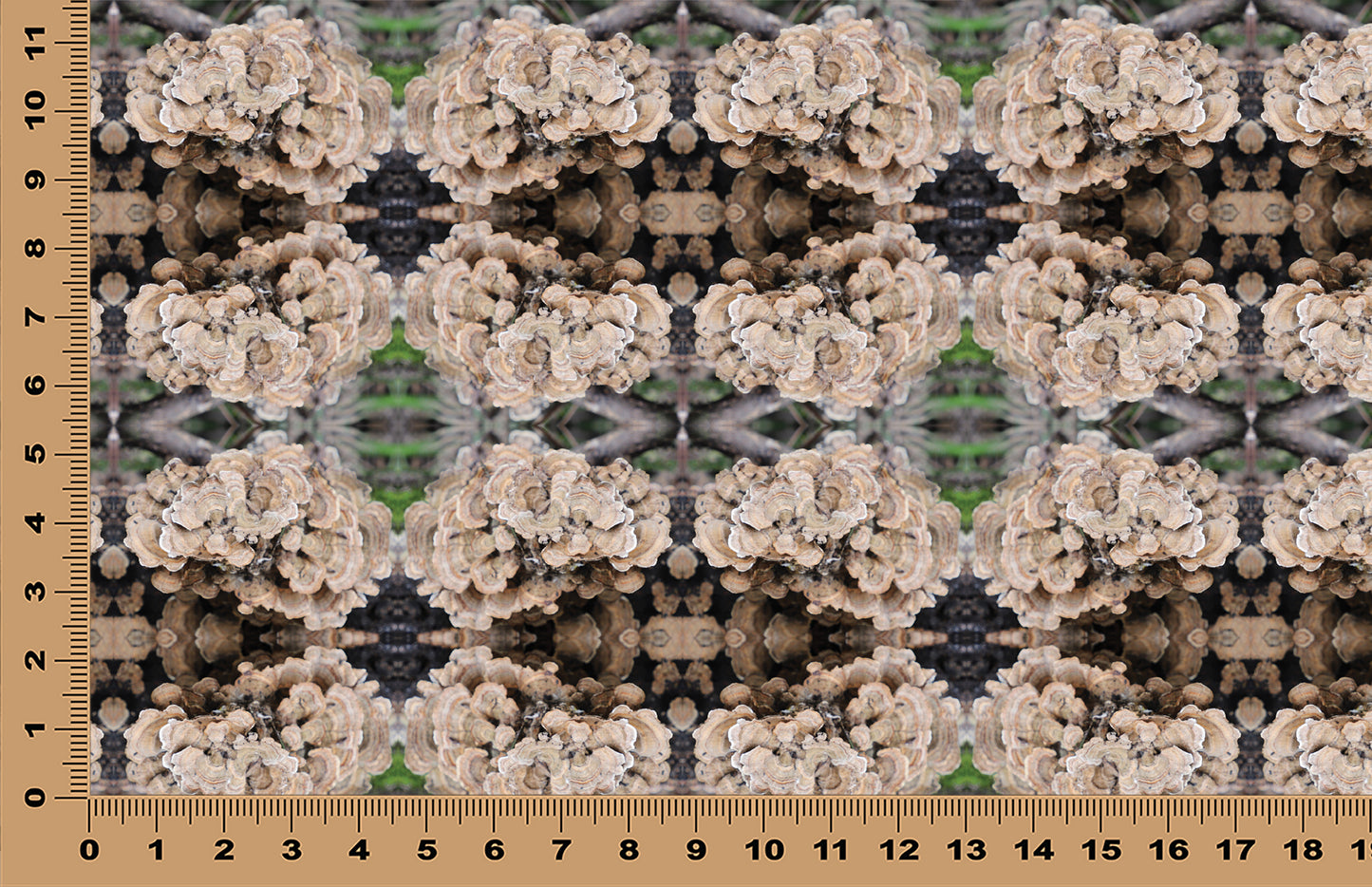 DecoCraft - Photo-astic Textures (Flat) - Wild Mushroom Kaleidoscope II