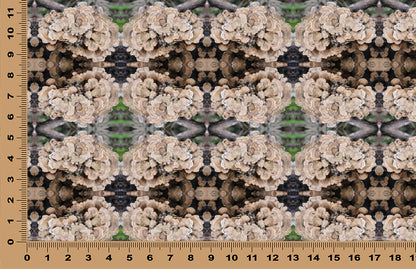 DecoCraft - Photo-astic Textures (Flat) - Wild Mushroom Kaleidoscope II