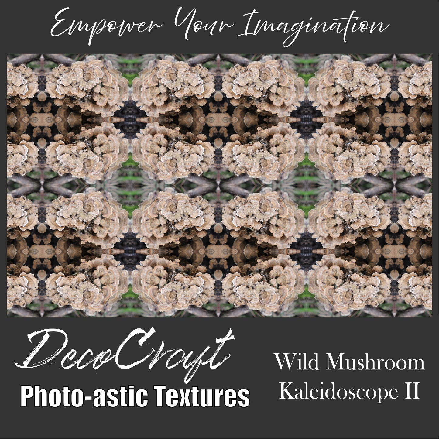 DecoCraft - Photo-astic Textures (Flat) - Wild Mushroom Kaleidoscope II
