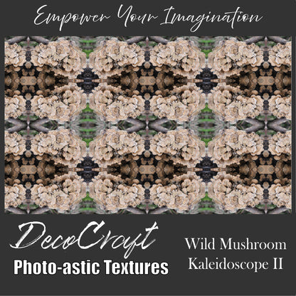 DecoCraft - Photo-astic Textures (Flat) - Wild Mushroom Kaleidoscope II