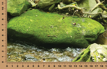 DecoCraft - Photo-astic Textures (Flat) - Mossy Stone - Multiple sizes available