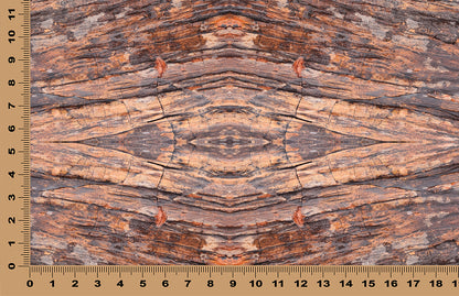 DecoCraft - Photo-astic Textures (Flat) - Petrified Wood Kaleidoscope