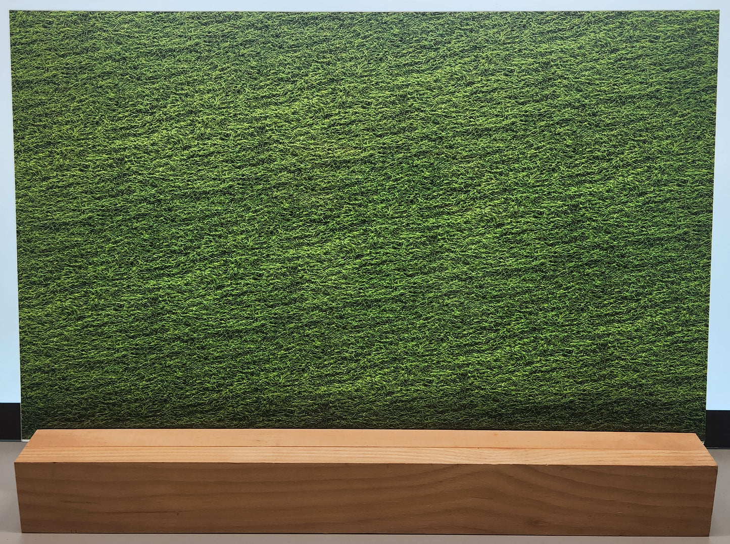 DecoCraft - Spring & Easter - Grassy Meadow