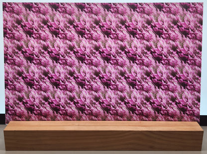 DecoCraft - Skies & Landscapes - Rosy Blush Field