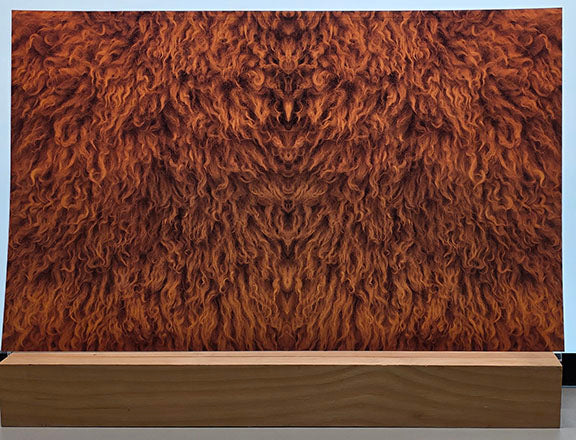 DecoCraft - Cherokee Rose - Style Sheet - Curly Fur - Brown