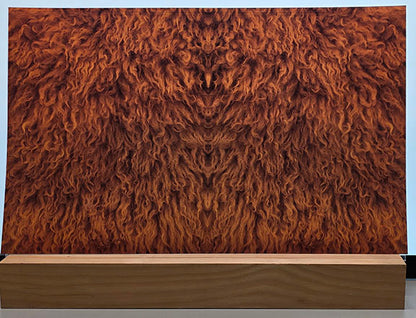 DecoCraft - Cherokee Rose - Style Sheet - Curly Fur - Brown