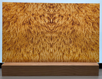 DecoCraft - Cherokee Rose - Style Sheet - Curly Fur - Golden