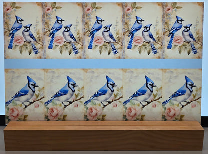 DecoCraft - Vintage Portrait Series - Blue Jay Florals