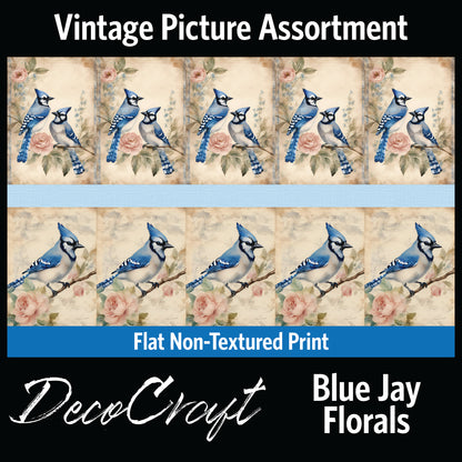 DecoCraft - Vintage Portrait Series - Blue Jay Florals