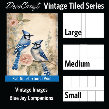 DecoCraft - Vintage Portrait Series - Blue Jay Florals - Blue Jay Companions